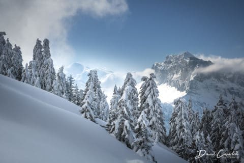 Féérie d'hiver - Limited Edition - David Casartelli Photographie